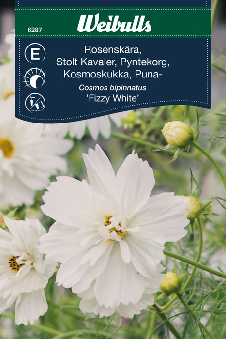 Frö Rosenskära 'Fizzy White' Weibulls